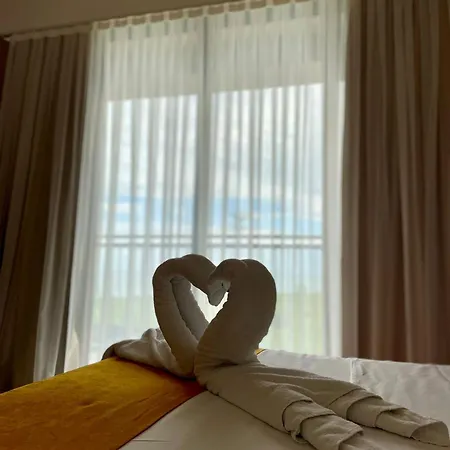 Complex Popdan 科斯蒂内什蒂